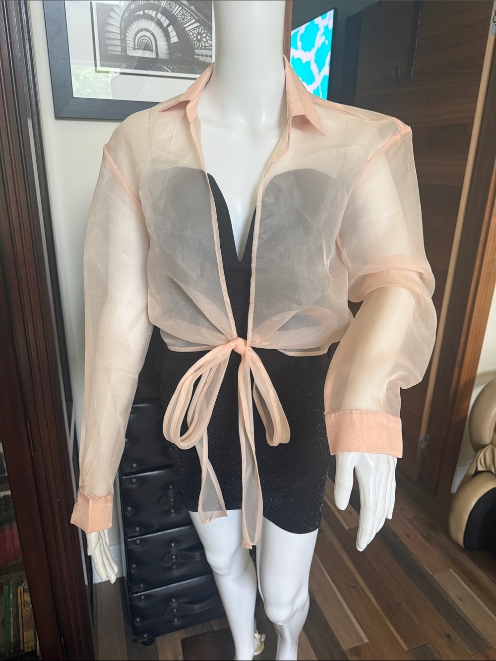 Sheer Tie-Front Blouse in Peach